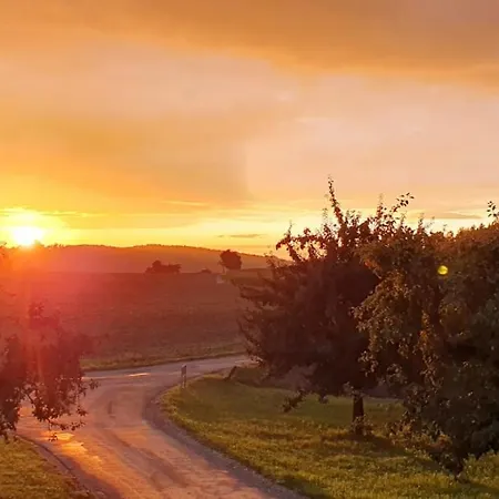 Apartment Zettis Ferienhaeusle Berg bei Ravensburg